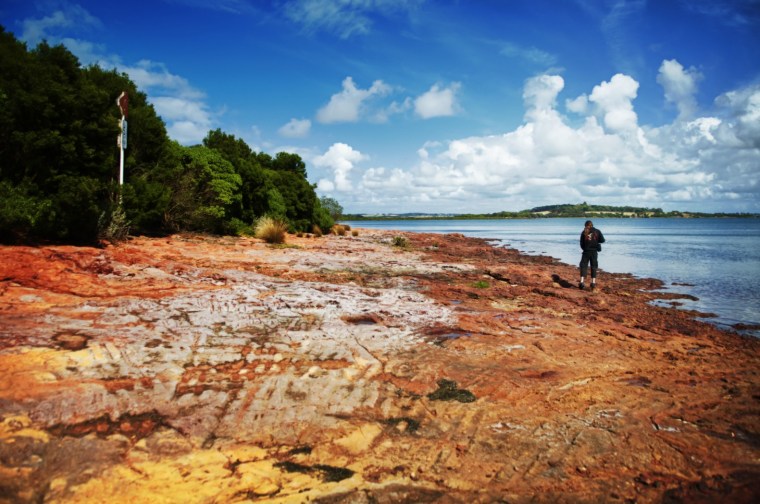 Phillip Island, Victoria