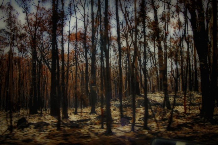 Black Saturday, Victoria, bushfire, Australia, Kinglake