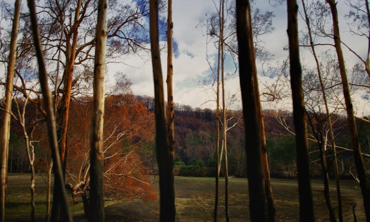 Bush fires, Kinglake,